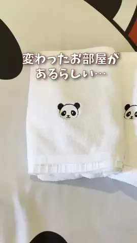きゃんトラ/CamTravelのTikTok投稿