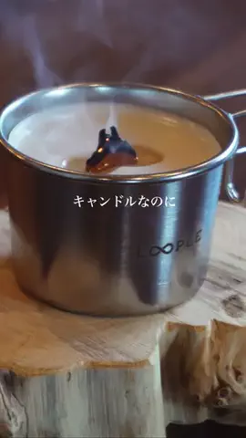 ログハウスの住人のTikTok投稿