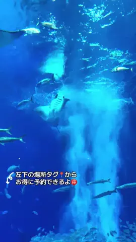 ASUKA_旅のガイドブックのTikTok投稿