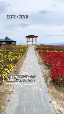 ASUKA_旅のガイドブックのTikTok投稿