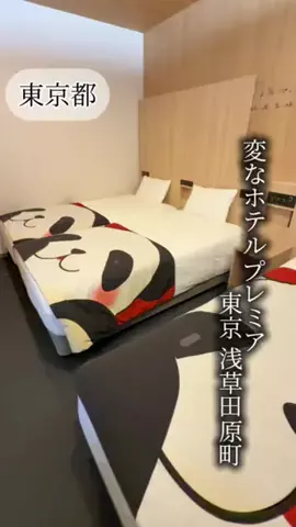 のあち✈️☀️のTikTok投稿