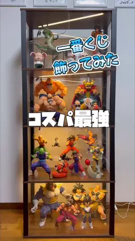 さなだっちのTikTok投稿