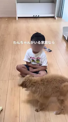 あっきーのTikTok投稿