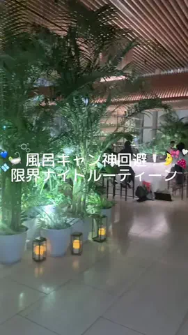 ずんのTikTok投稿