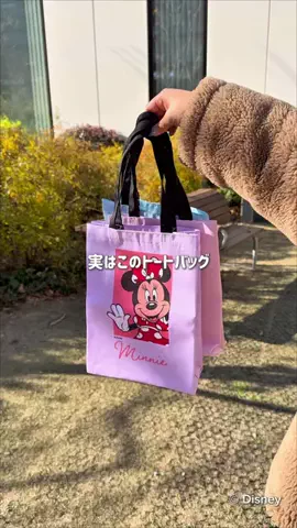 まるさん / Marusan 🏰🌋のTikTok投稿