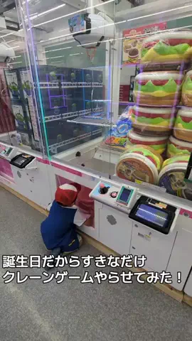 ねことぼくのTikTok投稿
