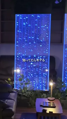 かずや | 名古屋グルメのTikTok投稿