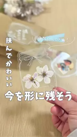 まい先生⌇保育士ママの100均DIY🌼のTikTok投稿