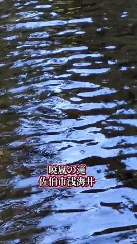 たちのTikTok投稿
