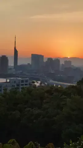たちのTikTok投稿