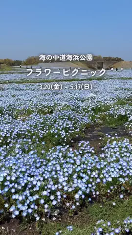 こなつ | 福岡子連れおでかけのTikTok投稿