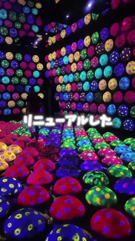遠距離カップルの大人旅記録✈️🤍のTikTok投稿