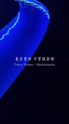 HAMONI TRIPのTikTok投稿