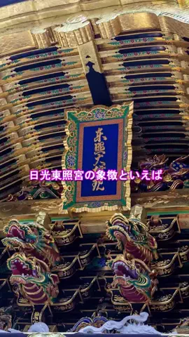 おでかけポコのTikTok投稿