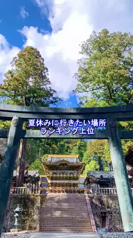 おでかけポコのTikTok投稿