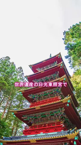おでかけポコのTikTok投稿
