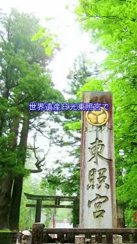 おでかけポコのTikTok投稿