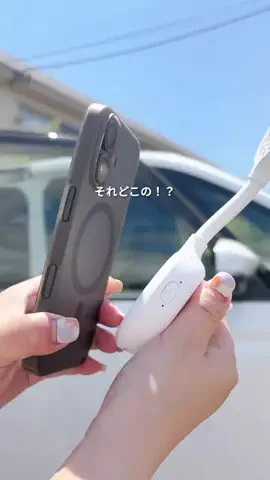 あんずのTikTok投稿