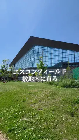Og ToのTikTok投稿