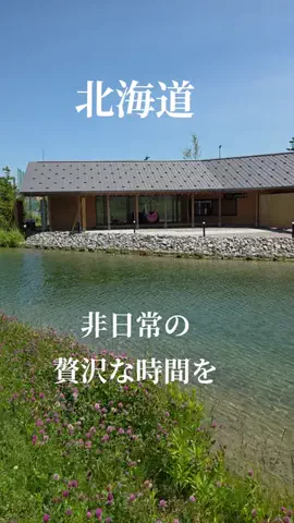 Og ToのTikTok投稿