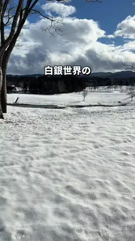 ゆたはる💑🌏🌞|横浜→全国おでかけ365日発信カップルのTikTok投稿