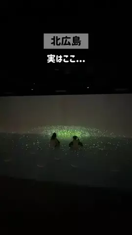 てるしょこ|北海道お出かけする夫婦のTikTok投稿