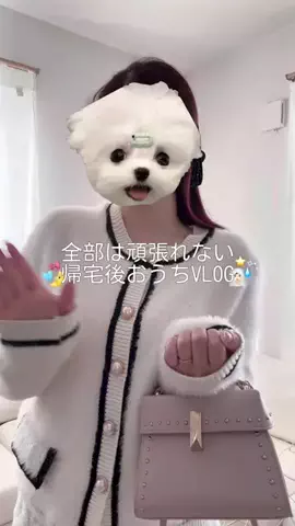 エムちゃんのTikTok投稿