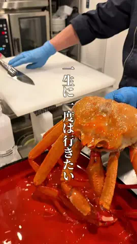 神戸グルメまひろのTikTok投稿