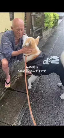 ぷるみちゃんのTikTok投稿
