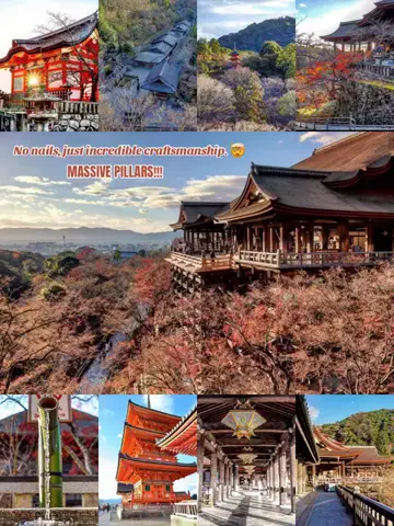 moreofJAPANのTikTok投稿