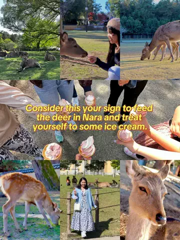moreofJAPANのTikTok投稿