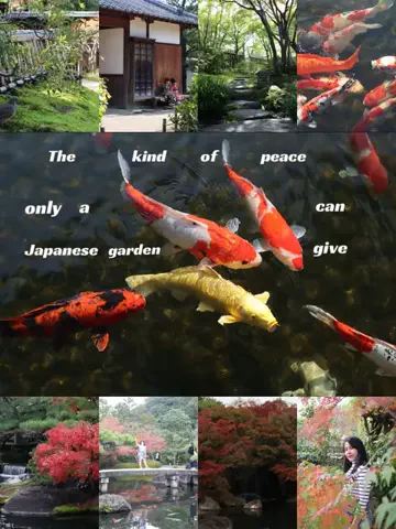 moreofJAPANのTikTok投稿