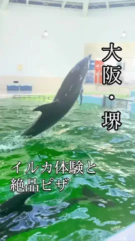 万博ママのTikTok投稿