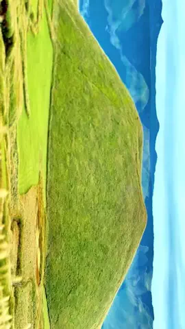 moreofJAPANのTikTok投稿