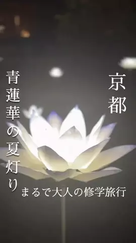 万博ママのTikTok投稿