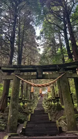 moreofJAPANのTikTok投稿