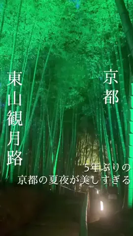 万博ママのTikTok投稿