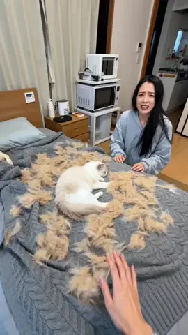 💕小野愛セレクト❤️のTikTok投稿