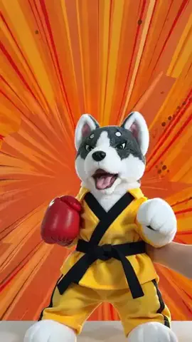 MizuGadgetのTikTok投稿
