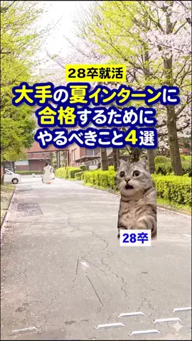 就活猫猫のTikTok投稿