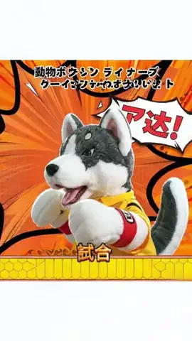MizuGadgetのTikTok投稿