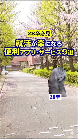 就活猫猫のTikTok投稿