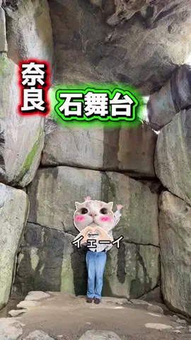 みやも人形のTikTok投稿