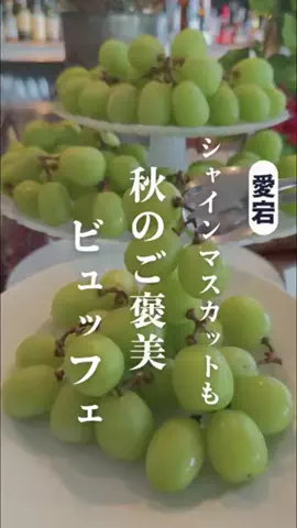 qk東京グルメ/東京ビュッフェ食べ放題のTikTok投稿