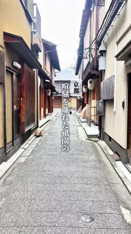 湖都と古都を巡る旅　大人の滋賀・京都グルメのTikTok投稿