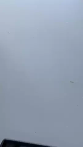 shino_art380のTikTok投稿