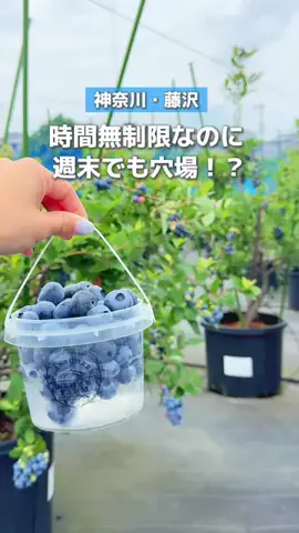 すぅ|神奈川発お出かけ&旅のTikTok投稿