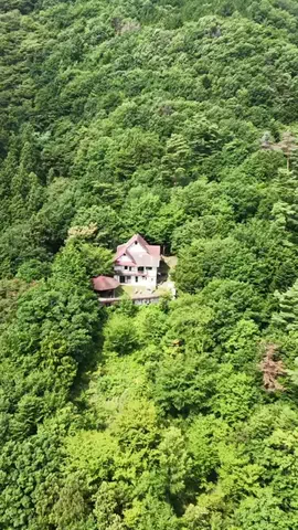 らいと🗼lightのTikTok投稿