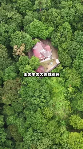 らいと🗼lightのTikTok投稿
