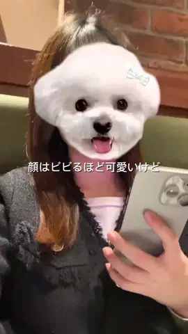 リリの美容日記🎀のTikTok投稿